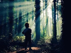 silhouette-of-child-standing-in-woods-with-sun-streaming-through.