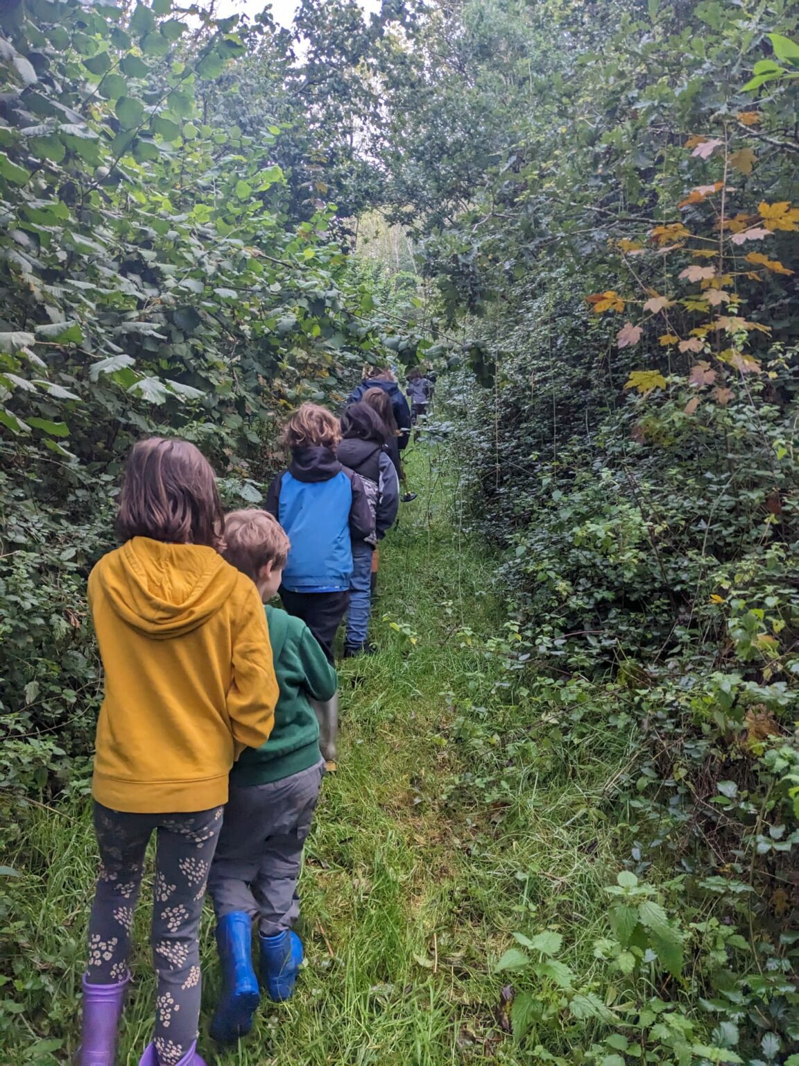 The Six Principles of Forest School - The Outdoors Group