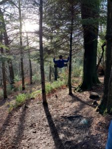 boy-on-swing-in-woods.