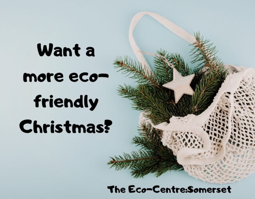 string-bag-with-christmas-tree-branches-and-a-star-with-the-words-want-a-more-eco-friendly-christmas-next-to-it.