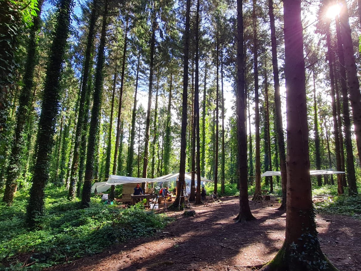 Outdoors camp in forest offering education outdoors